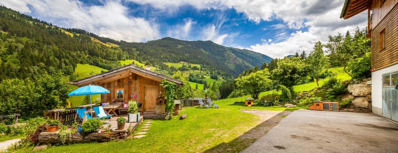 Oeko-Appartements Fallhaus Forstau  Dış mekan fotoğraf