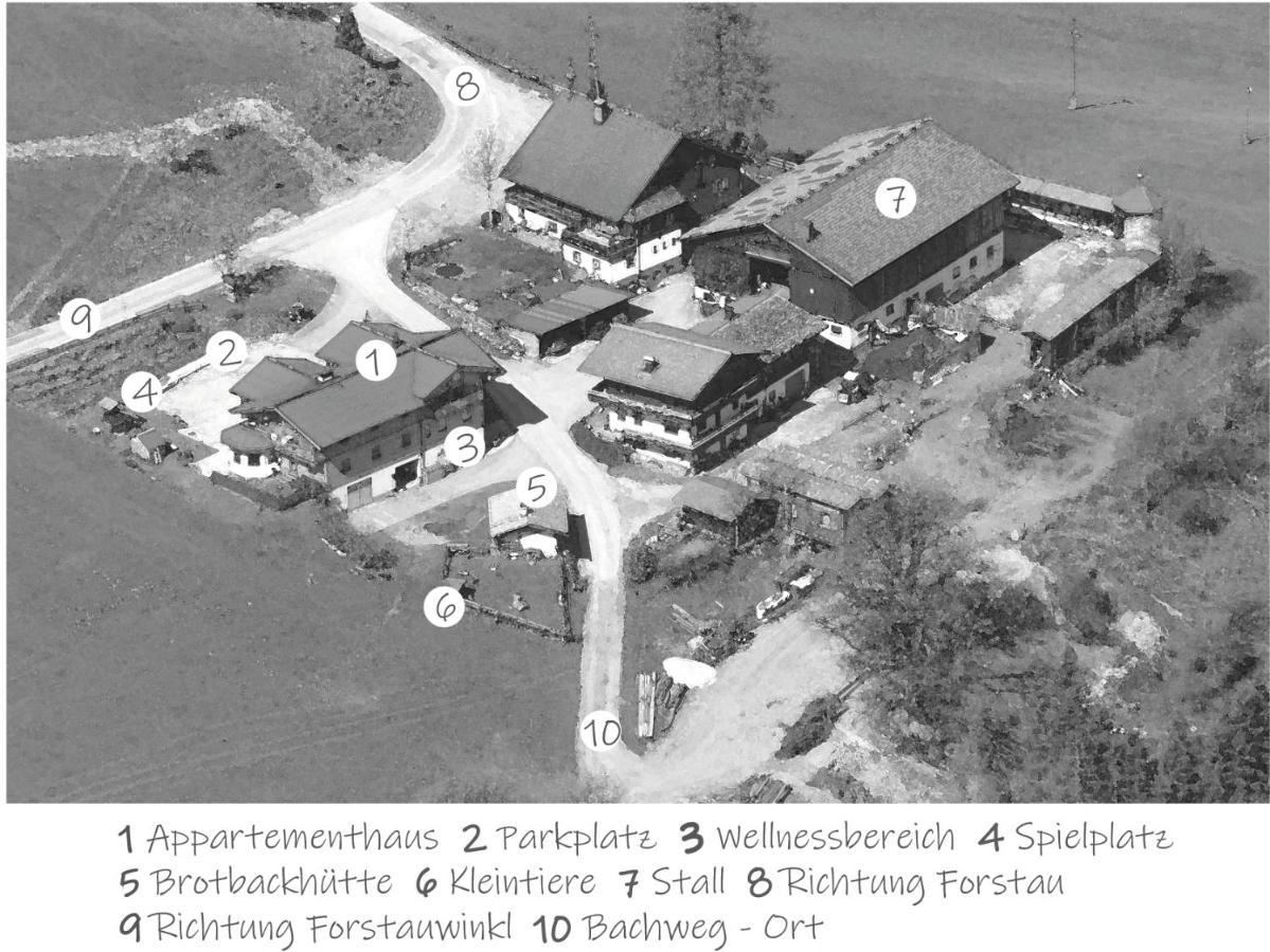 Oeko-Appartements Fallhaus Forstau  Dış mekan fotoğraf