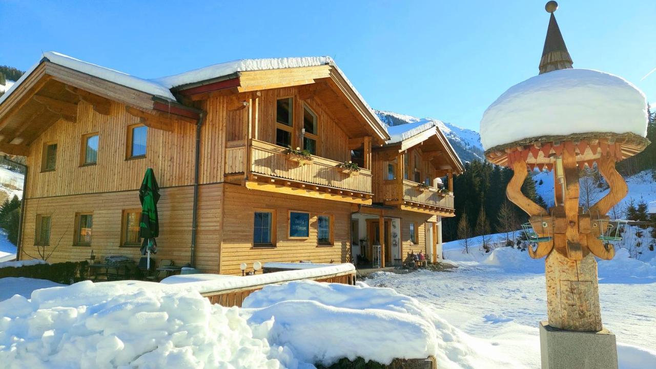 Oeko-Appartements Fallhaus Forstau  Dış mekan fotoğraf